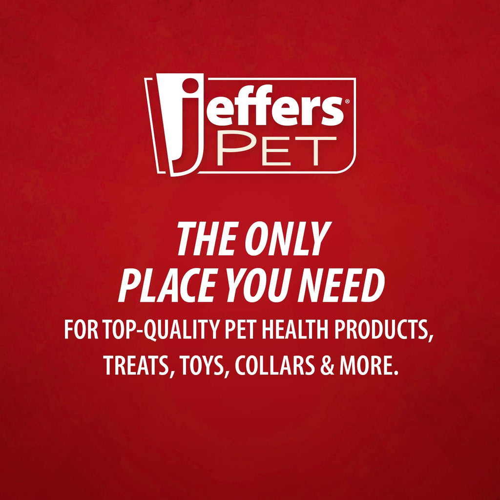 Jeffers Solid Adjustable Nylon Cat Collars